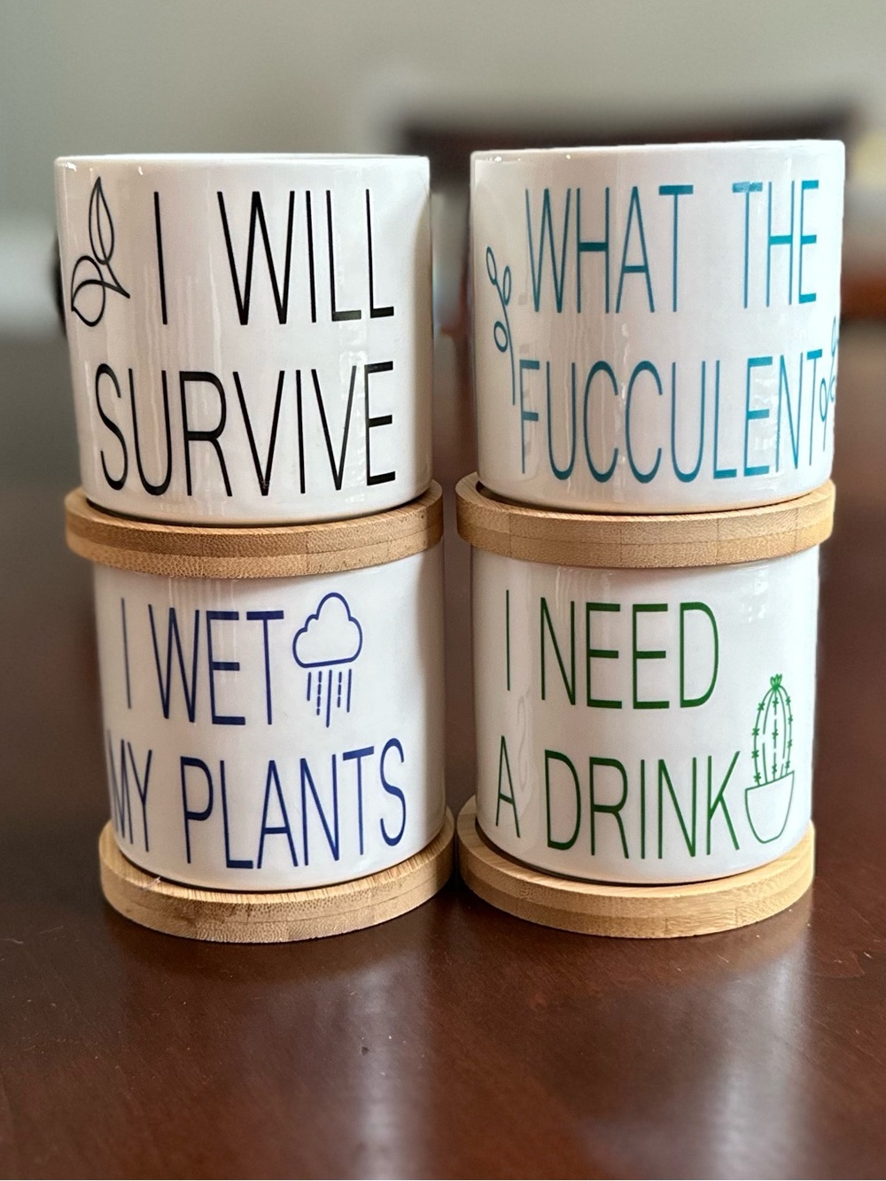 Set of 4 Funny Plant Planters w/ Bamboo Trays | Rae Dunn Style Succulent Pots